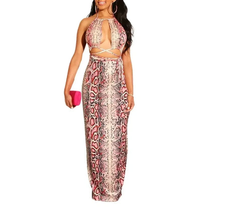 Leopard Two Pieces Outfits