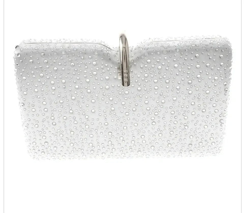 Silver Long Chain Clutch